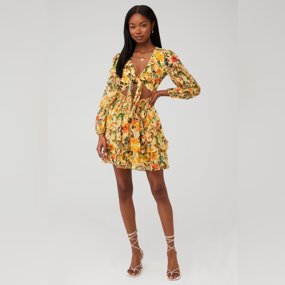 Rays For Days | Laurel Floral Tiered Cut Out Mini Dress | Sz S
